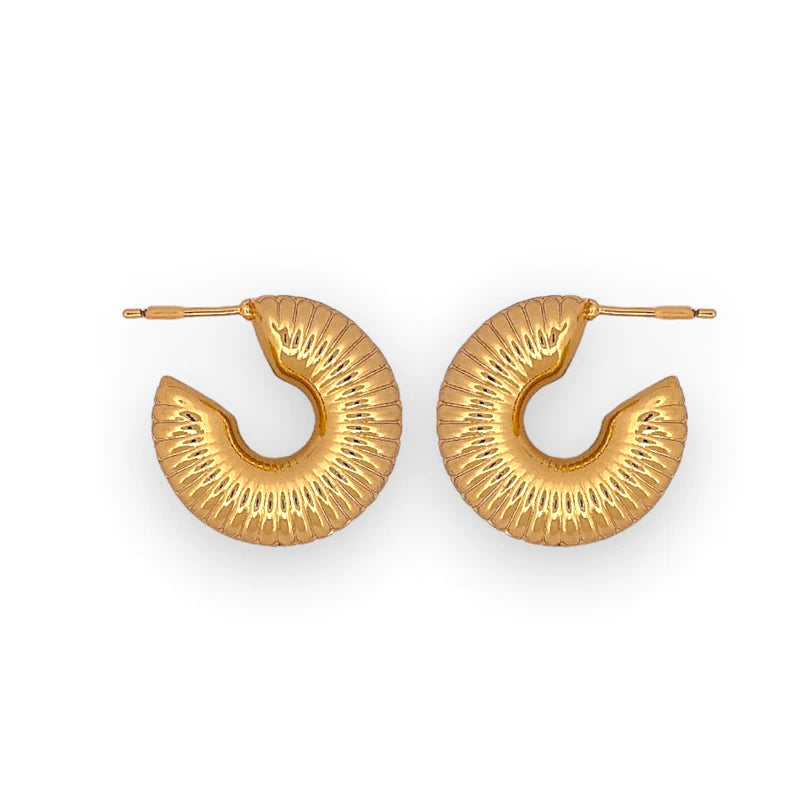 Chunky Earrings Hoops
