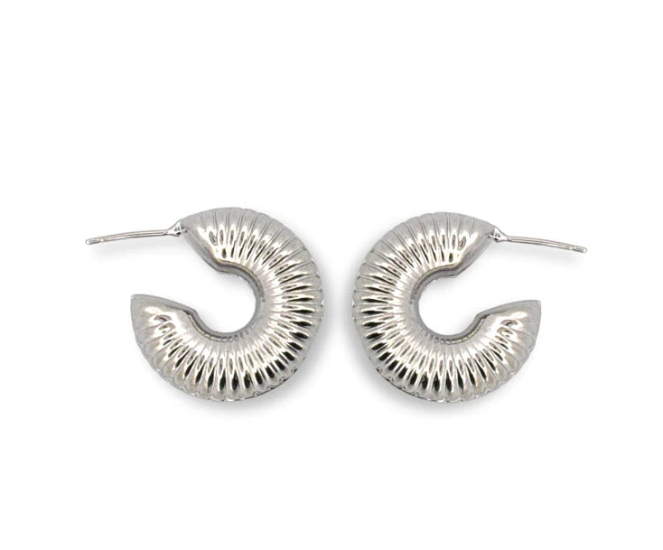 Chunky Earrings Hoops
