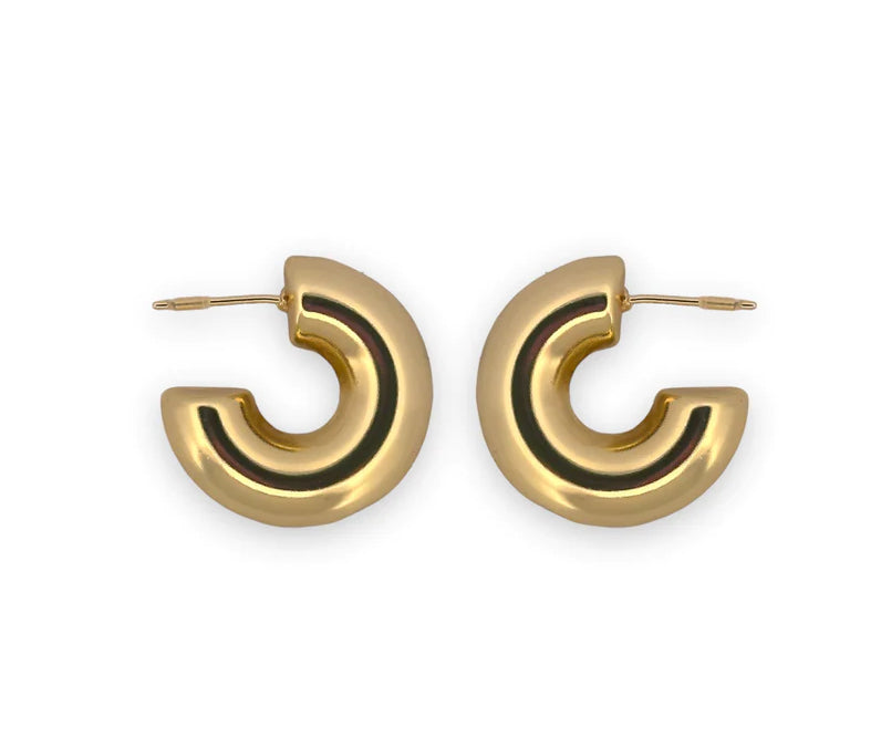 Chunky Earrings Hoops